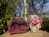 Natural Drusy Salrose on Dolomite Matrix Specimens x 2 From Kakanda, Congo
