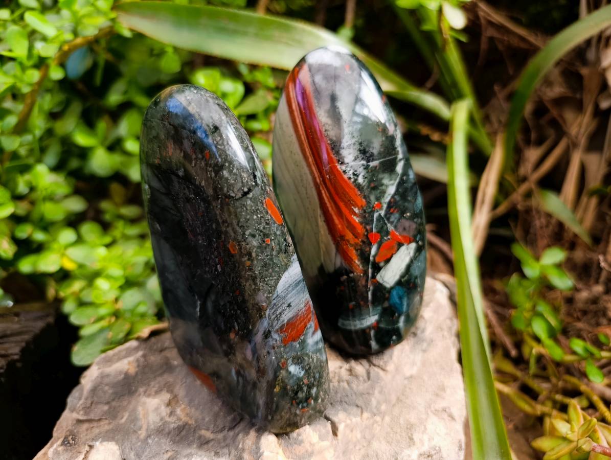 Polished Bloodstone Standing Free Forms x 2 From Swaziland - Toprock Gemstones and Minerals 