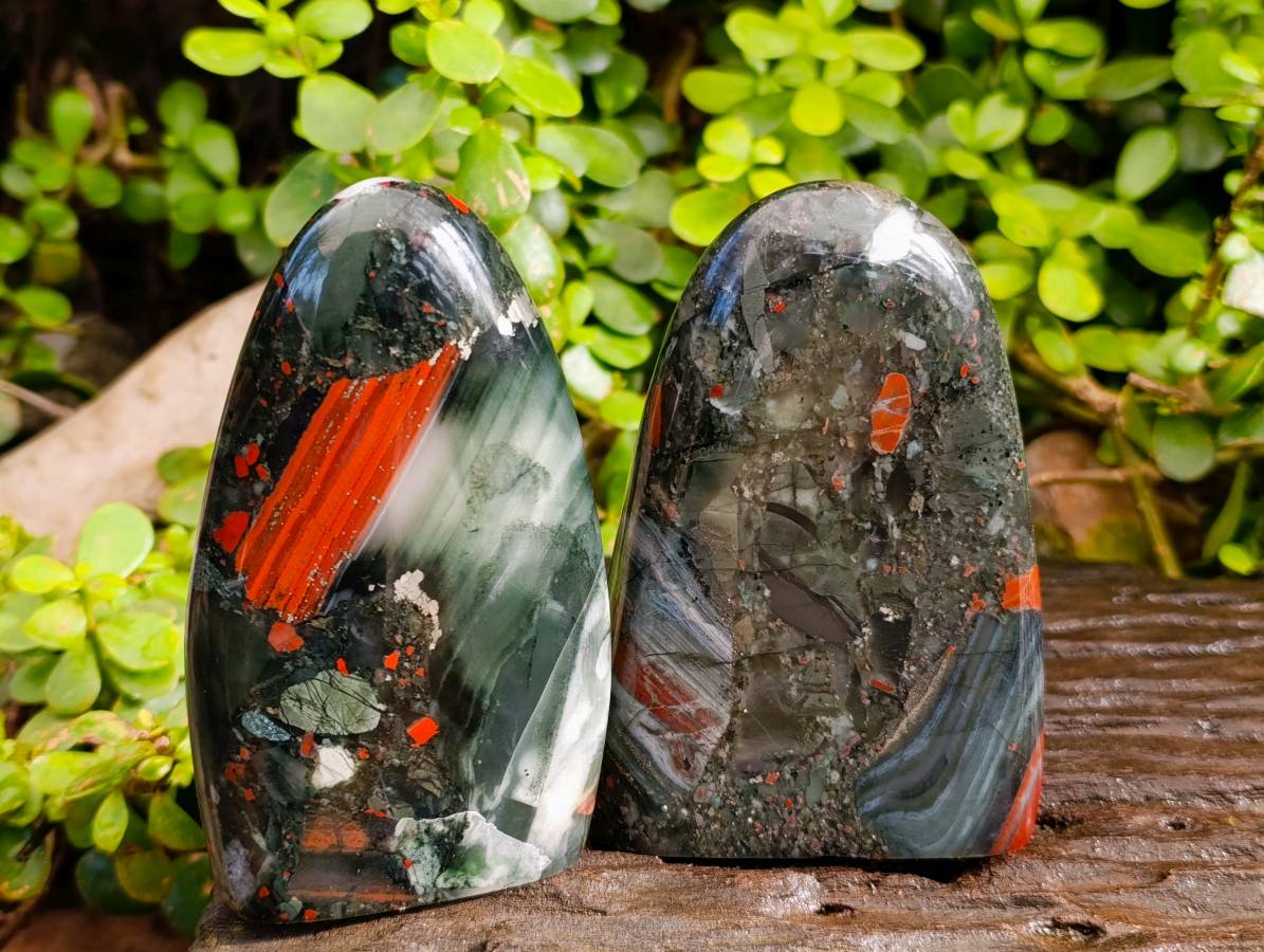 Polished Bloodstone Standing Free Forms x 2 From Swaziland - Toprock Gemstones and Minerals 