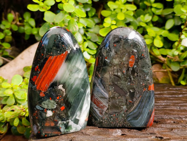 Polished Bloodstone Standing Free Forms x 2 From Swaziland