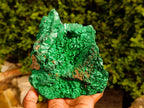 Natural Silky Malachite Specimen x 1 From Kasompe, Congo - Toprock Gemstones and Minerals 