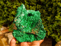Natural Silky Malachite Specimen x 1 From Kasompe, Congo