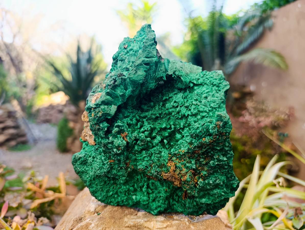 Natural Silky Malachite Specimen x 1 From Kasompe, Congo - Toprock Gemstones and Minerals 