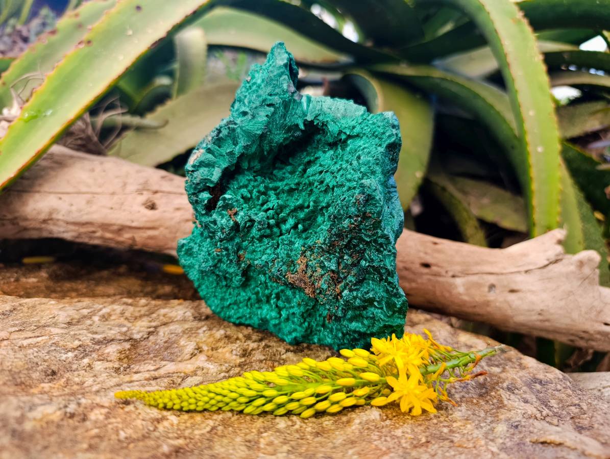 Natural Silky Malachite Specimen x 1 From Kasompe, Congo - Toprock Gemstones and Minerals 