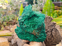 Natural Silky Malachite Specimen x 1 From Kasompe, Congo