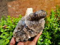 Natural Smokey Window Quartz Cluster x 1 From Brandberg, Namibia