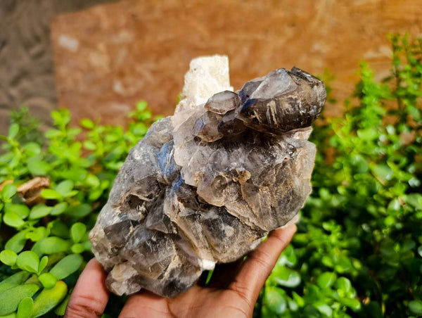 Natural Smokey Window Quartz Cluster x 1 From Brandberg, Namibia
