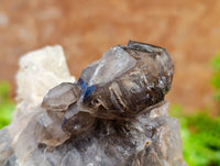 Natural Smokey Window Quartz Cluster x 1 From Brandberg, Namibia