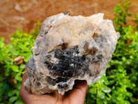 Natural Smokey Window Quartz Cluster x 1 From Brandberg, Namibia