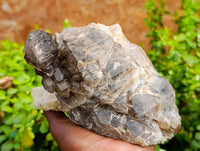 Natural Smokey Window Quartz Cluster x 1 From Brandberg, Namibia