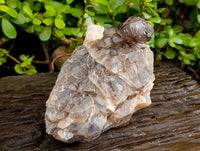 Natural Smokey Window Quartz Cluster x 1 From Brandberg, Namibia