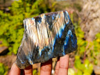 Polished On One Side Labradorite x 6 From Madagascar - Toprock Gemstones and Minerals 