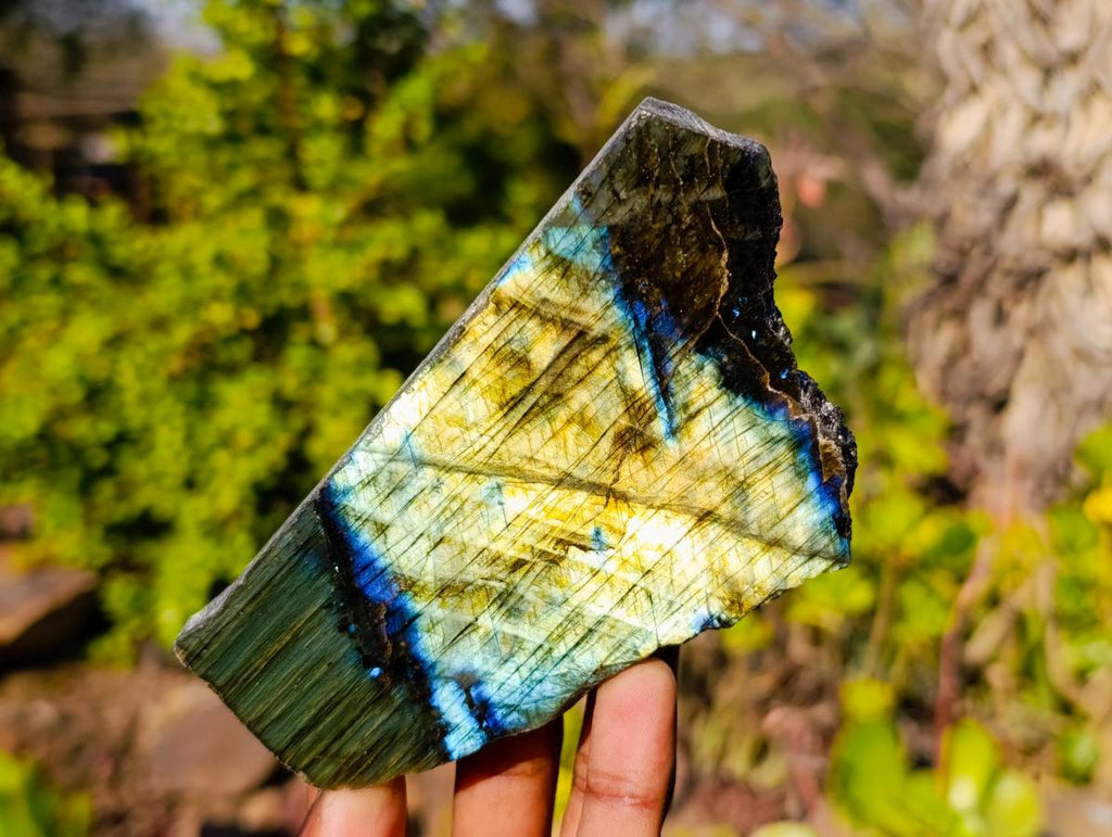 Polished On One Side Labradorite x 6 From Madagascar - Toprock Gemstones and Minerals 
