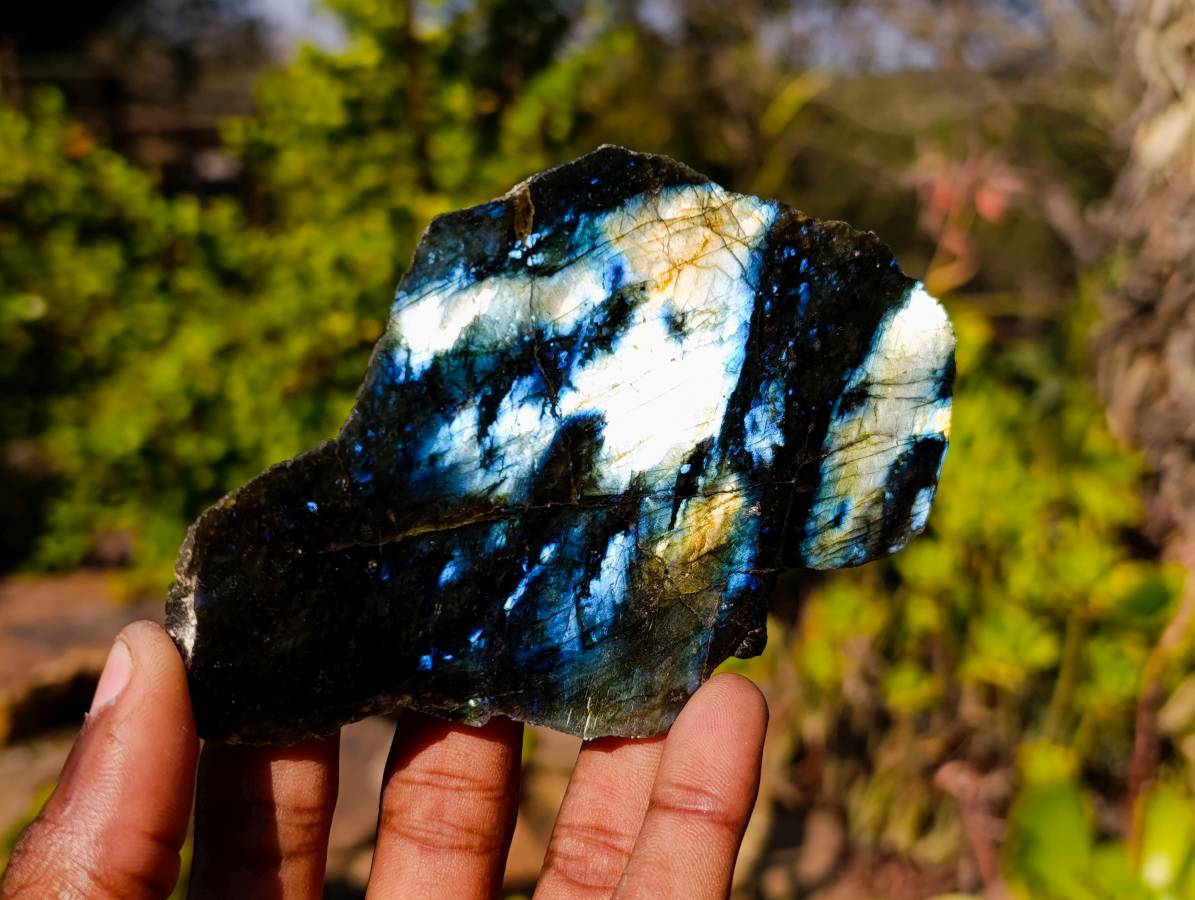 Polished On One Side Labradorite x 6 From Madagascar - Toprock Gemstones and Minerals 