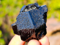 Natural Schorl Black Tourmaline Specimens x 12 From Namibia
