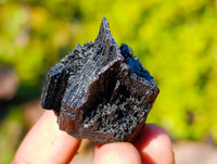 Natural Schorl Black Tourmaline Specimens x 12 From Namibia