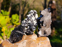 Natural Schorl Black Tourmaline Specimens x 12 From Namibia