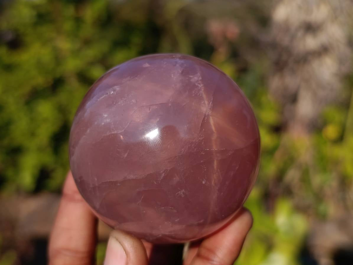 Polished Star Rose Quartz Spheres x 4 From Madagascar - Toprock Gemstones and Minerals 