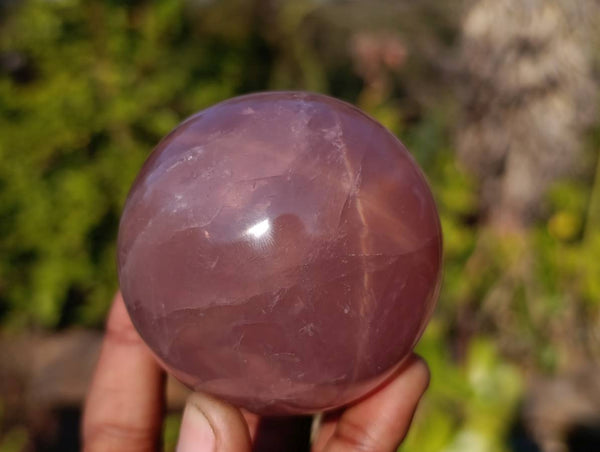 Polished Star Rose Quartz Spheres x 4 From Madagascar