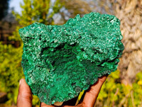 Natural Silky Malachite Specimen x 1 From Kasompe, Congo