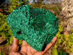 Natural Silky Malachite Specimen x 1 From Kasompe, Congo - Toprock Gemstones and Minerals 