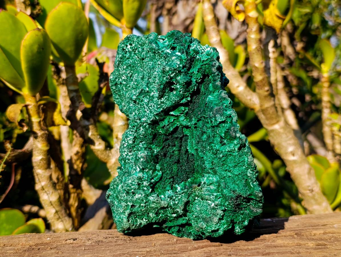 Natural Silky Malachite Specimen x 1 From Kasompe, Congo - Toprock Gemstones and Minerals 