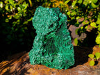 Natural Silky Malachite Specimen x 1 From Kasompe, Congo - Toprock Gemstones and Minerals 