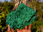 Natural Silky Malachite Specimen x 1 From Kasompe, Congo - Toprock Gemstones and Minerals 