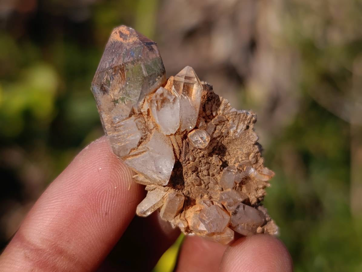 Natural Smokey Amethyst Quartz Crystals x 60 From Brandberg, Namibia - Toprock Gemstones and Minerals 