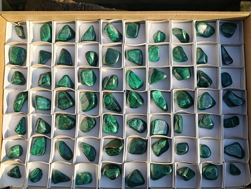 Polished Flower Malachite Free Forms x 70 From Congo - Toprock Gemstones and Minerals 