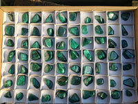 Polished Flower Malachite Free Forms x 70 From Congo