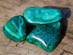 Polished Flower Malachite Free Forms x 70 From Congo - Toprock Gemstones and Minerals 