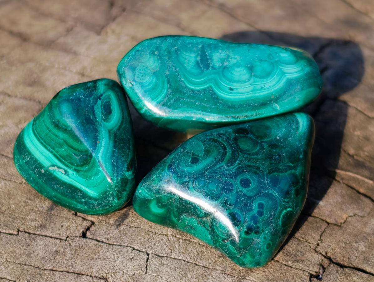 Polished Flower Malachite Free Forms x 70 From Congo - Toprock Gemstones and Minerals 