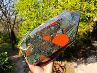Polished Bloodstone Point x 1 From Swaziland