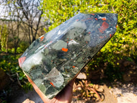 Polished Bloodstone Point x 1 From Swaziland