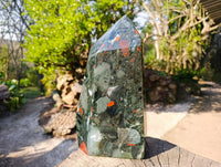 Polished Bloodstone Point x 1 From Swaziland
