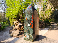 Polished Bloodstone Point x 1 From Swaziland