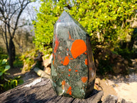 Polished Bloodstone Point x 1 From Swaziland