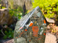 Polished Bloodstone Point x 1 From Swaziland
