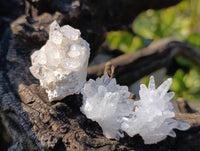 Natural Flower Quartz Clusters x 20 From Brandberg, Namibia