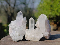 Natural Flower Quartz Clusters x 20 From Brandberg, Namibia
