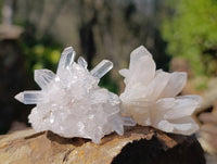 Natural Flower Quartz Clusters x 20 From Brandberg, Namibia