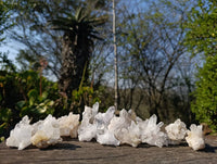Natural Flower Quartz Clusters x 20 From Brandberg, Namibia