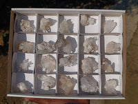 Natural Flower Quartz Clusters x 20 From Brandberg, Namibia