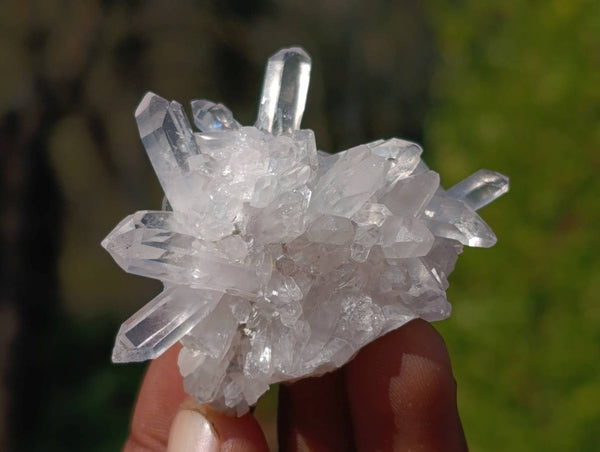 Natural Flower Quartz Clusters x 20 From Brandberg, Namibia