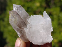 Natural Flower Quartz Clusters x 20 From Brandberg, Namibia