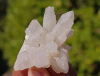 Natural Flower Quartz Clusters x 20 From Brandberg, Namibia