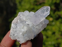 Natural Flower Quartz Clusters x 20 From Brandberg, Namibia