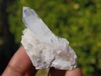 Natural Flower Quartz Clusters x 20 From Brandberg, Namibia