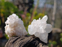 Natural Flower Quartz Clusters x 20 From Brandberg, Namibia
